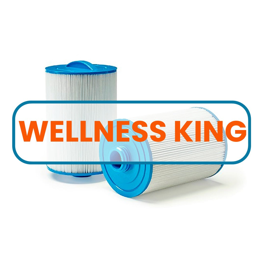 Filtre til Wellness King
